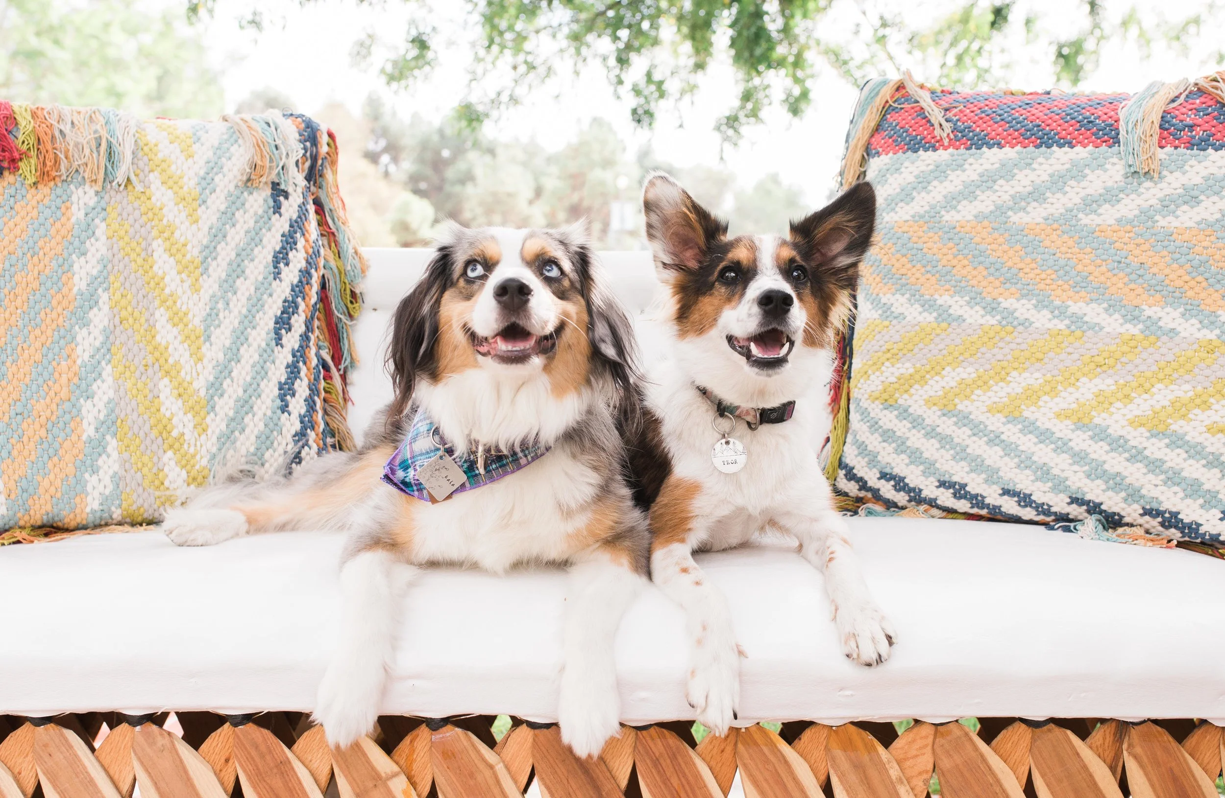 Fourth Annual Photo Picnic Party!