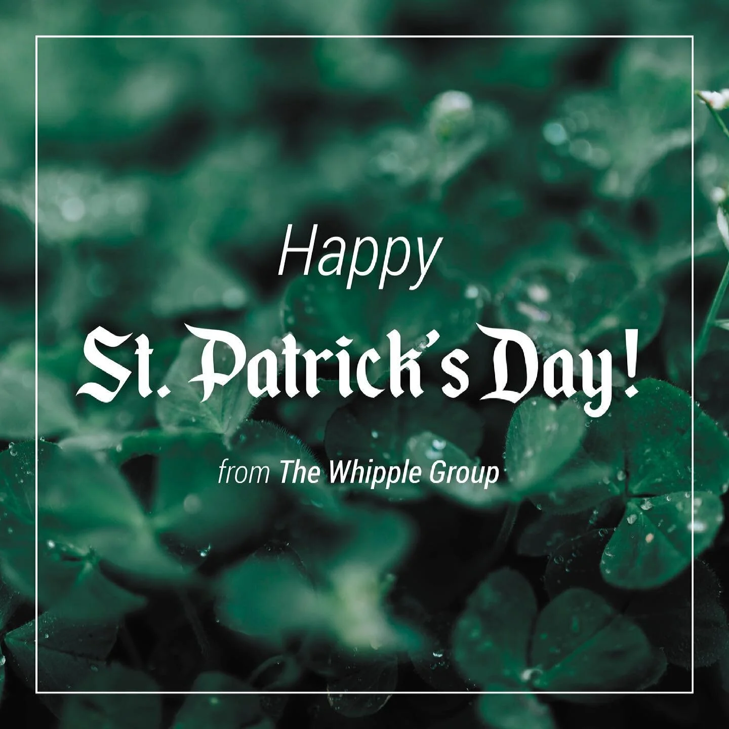 Happy St. Patrick&rsquo;s Day! 🍀 We are feeling extra lucky today to have such incredible clients and friends!
