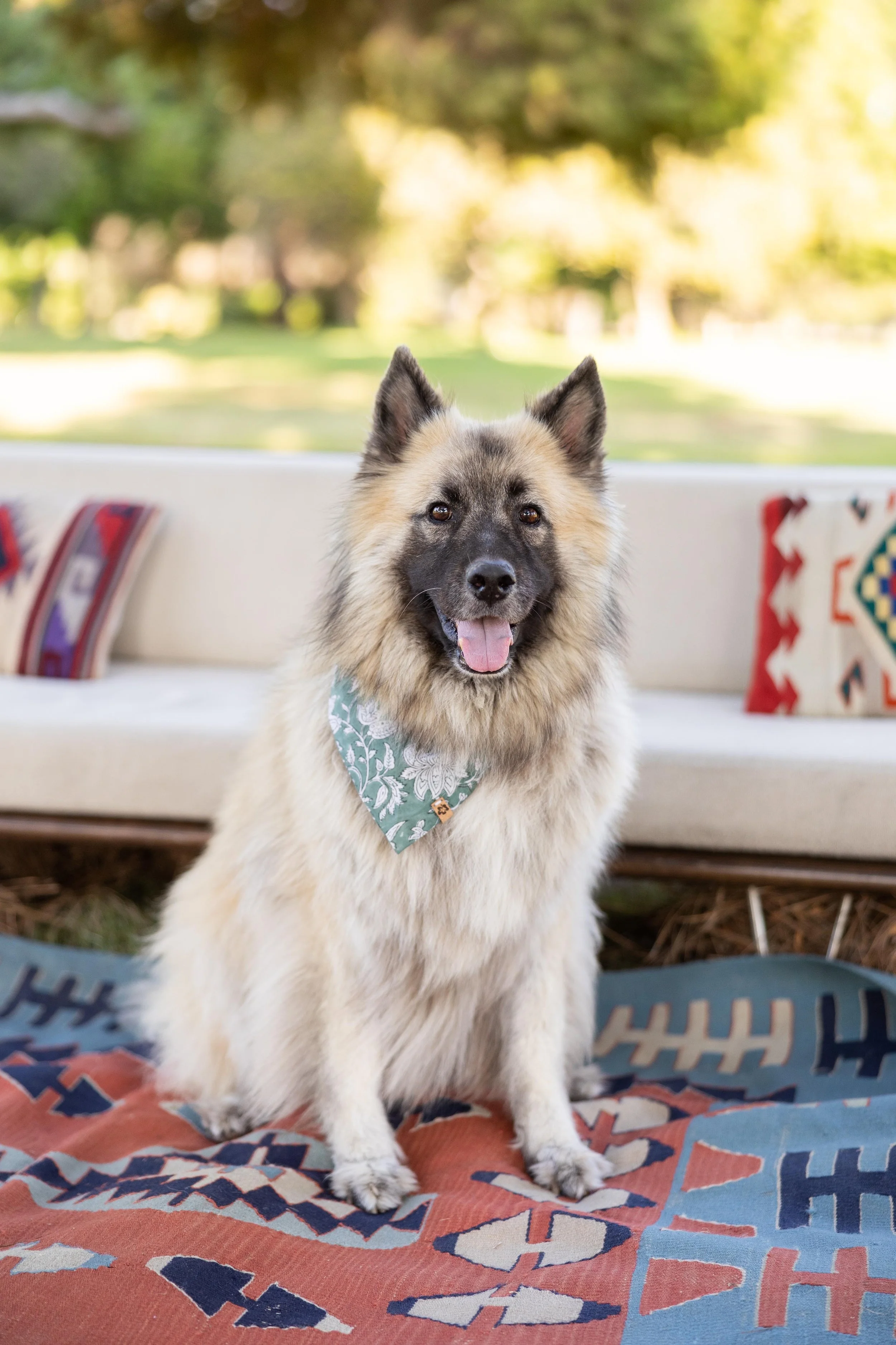 The Fukushima's-004.jpg