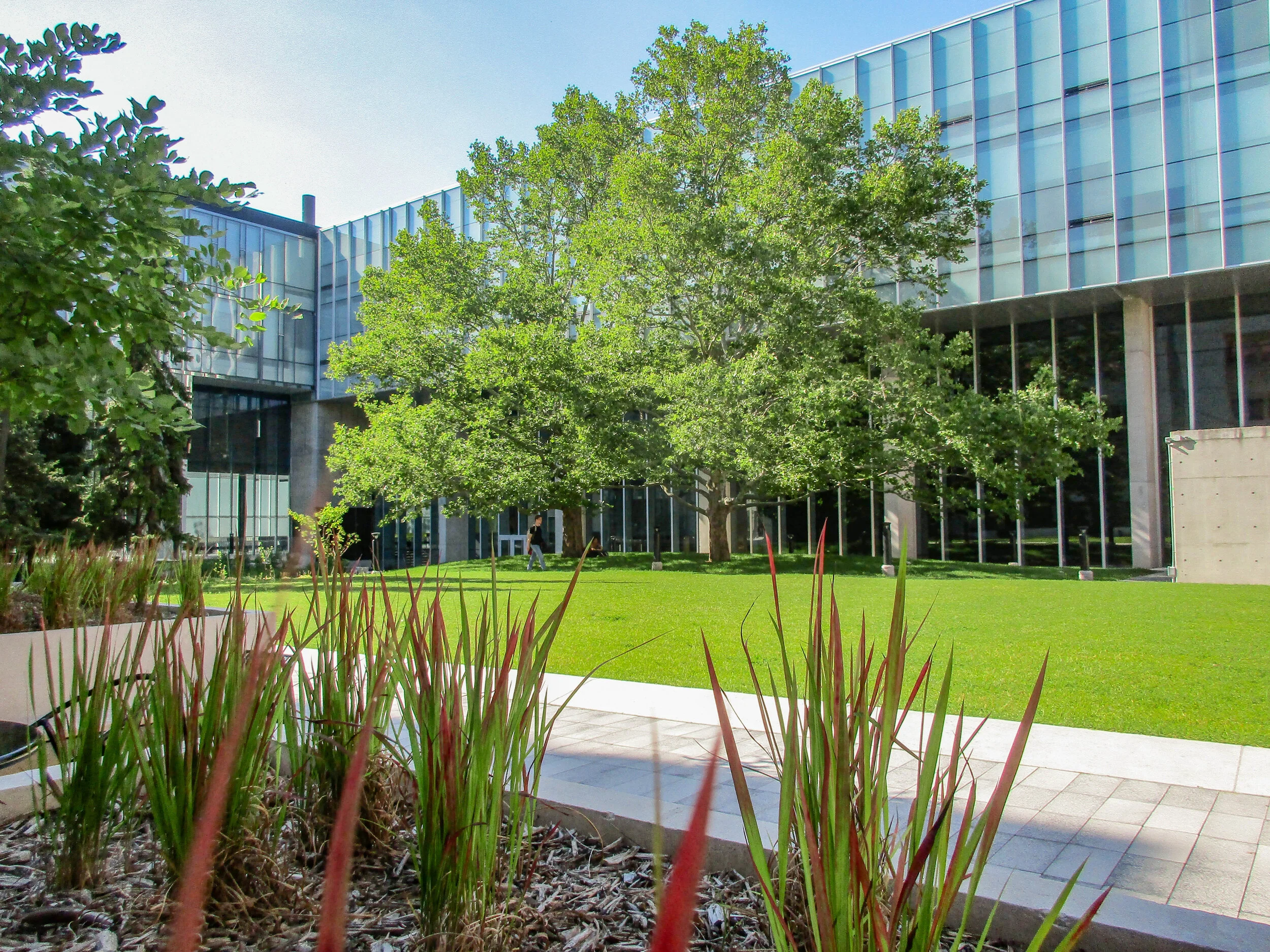 DV / CCT Courtyard