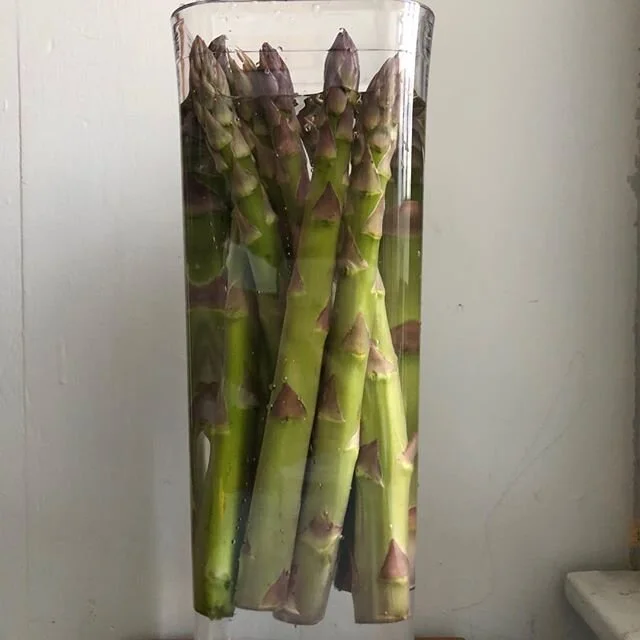 The asparagus floats at twilight