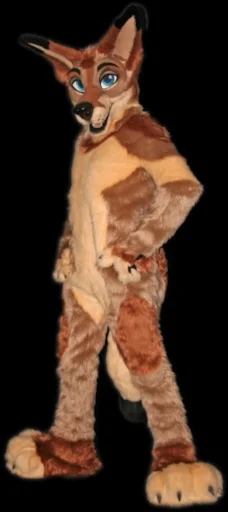 furry.jpg