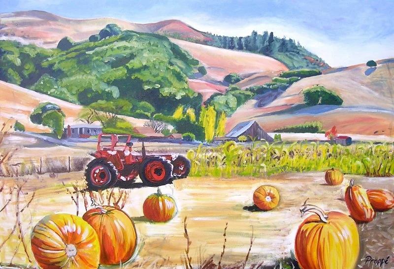 Nicasio Farms Pumpkin Patch