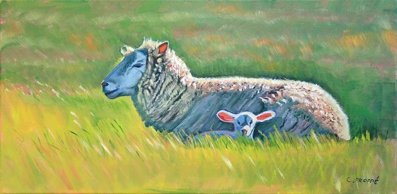 "I'm All Ears" sheep at RedHill Farms