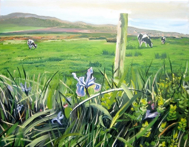 3 Cows, 1 Iris