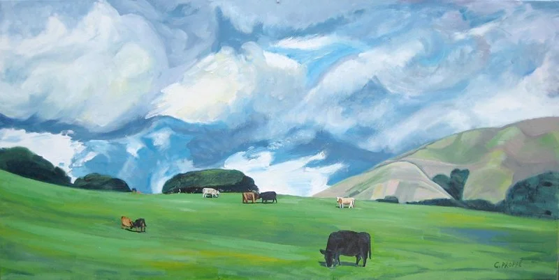 Cows in Pt. Reyes