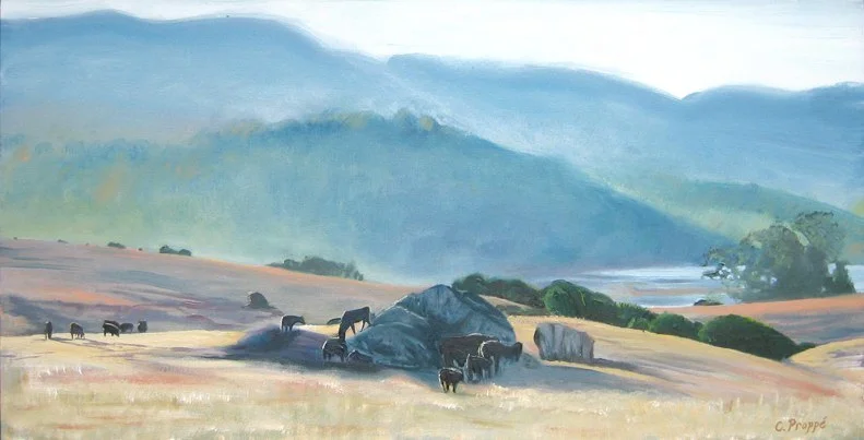 Tomales Twilight Cows