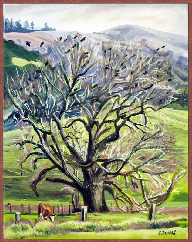 Tree at Flander's Ranch