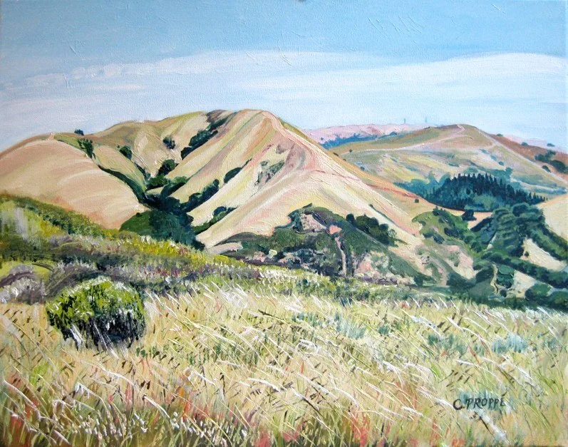 White's Hill & Loma Alta from Pine Mt.