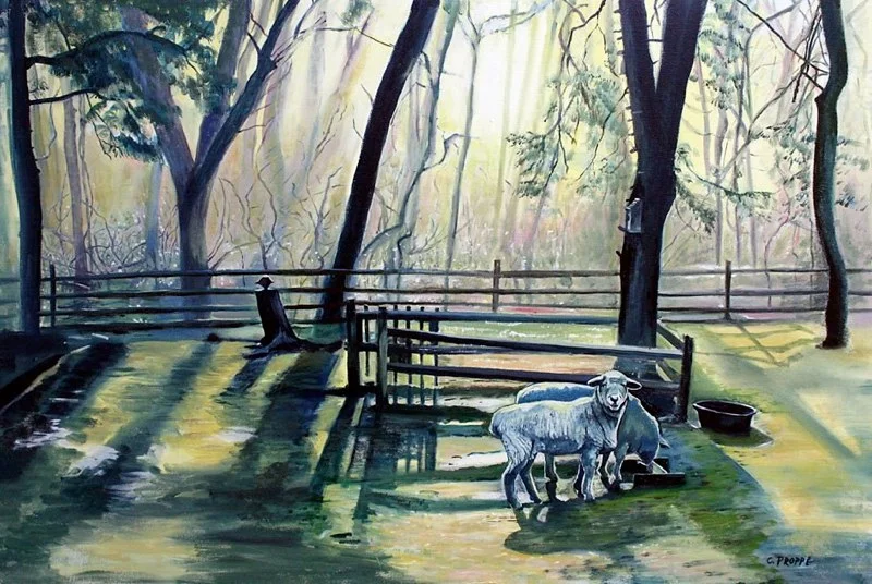 Jelly Hill Farm