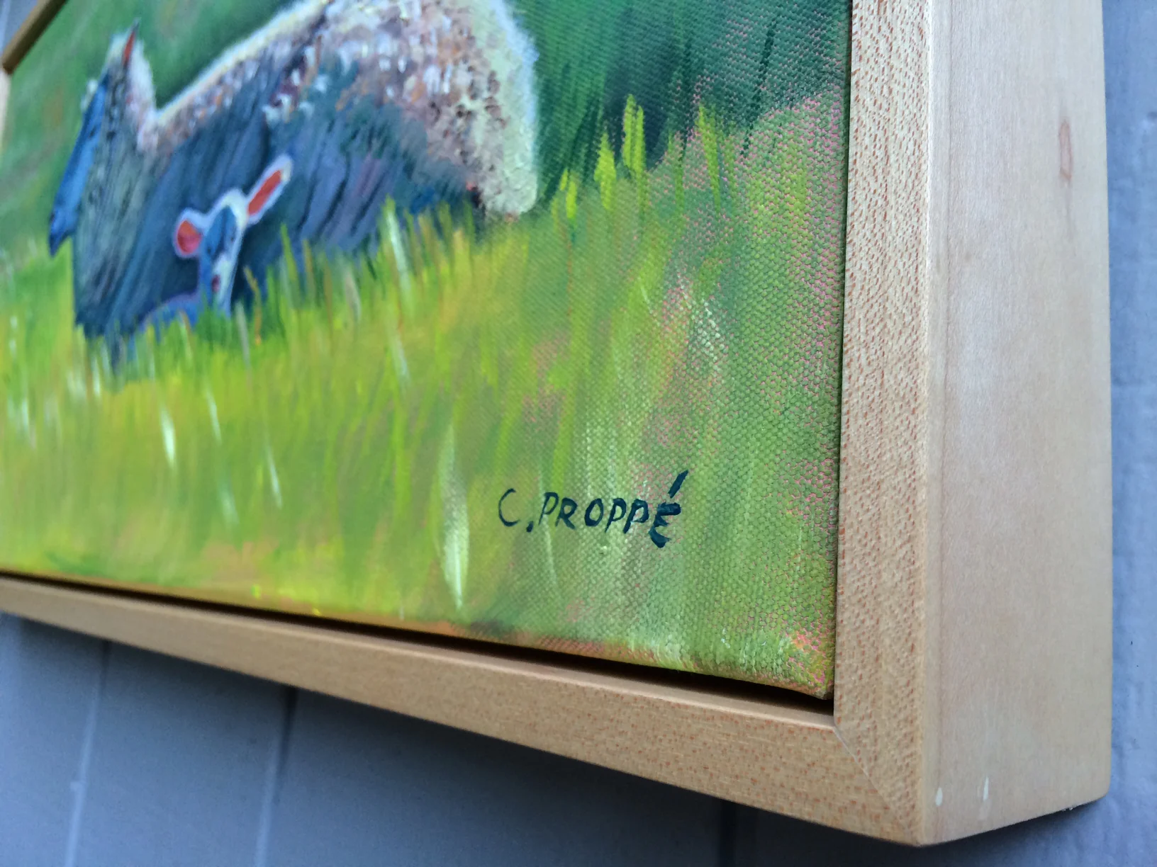 sheep_cproppe_frame.jpg