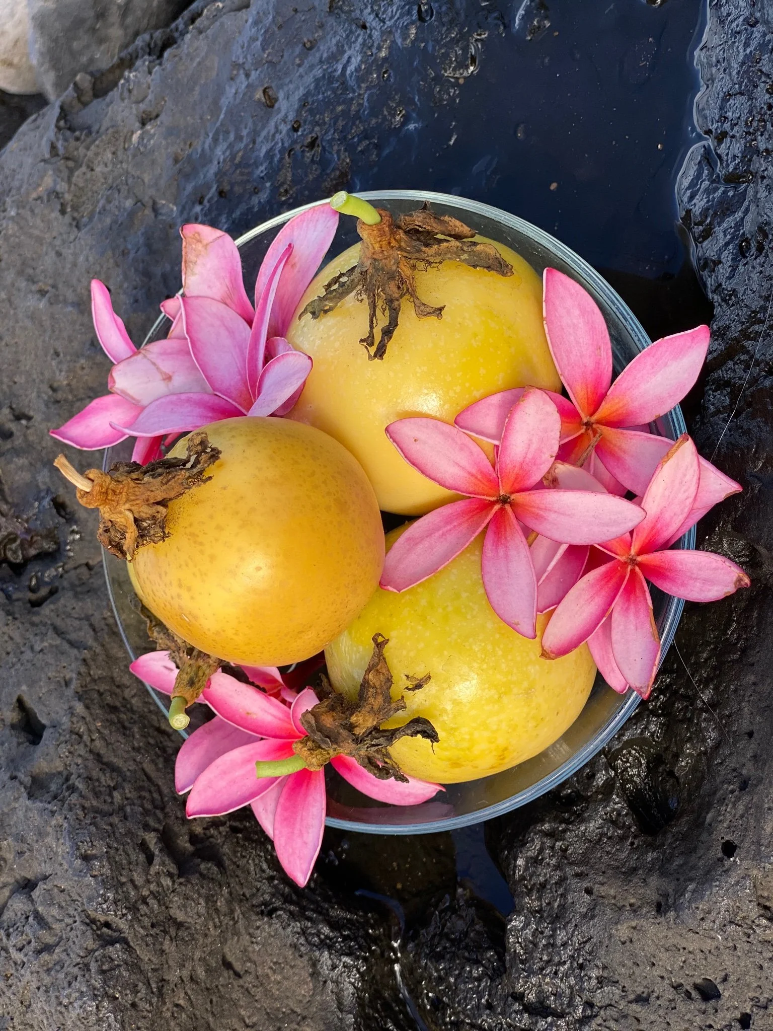  Lilikoi fruit in Maui, Hawaii 