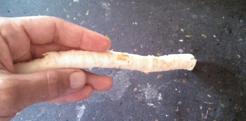 Horse Radish