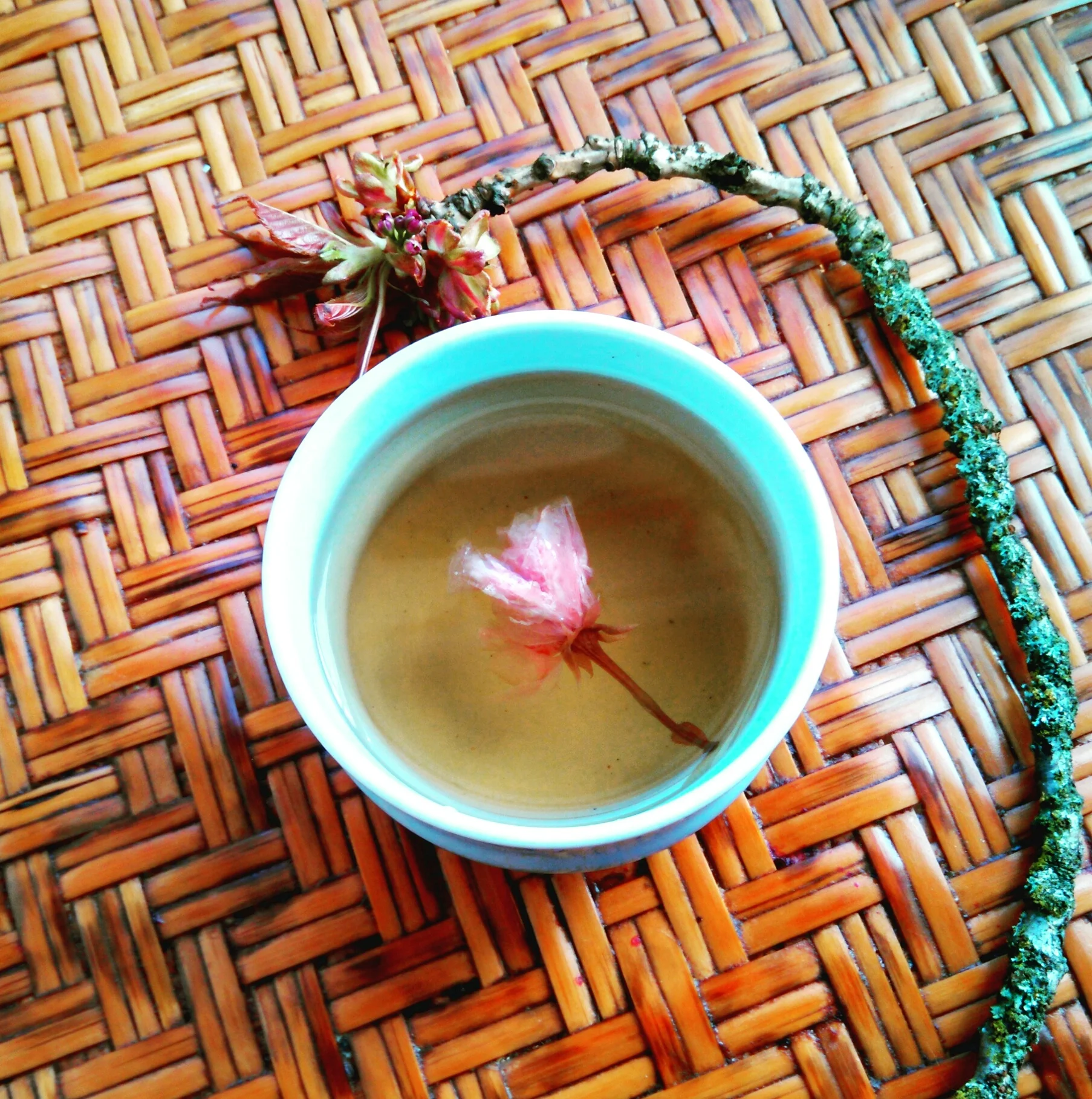 Salt Cured Cherry Blossom