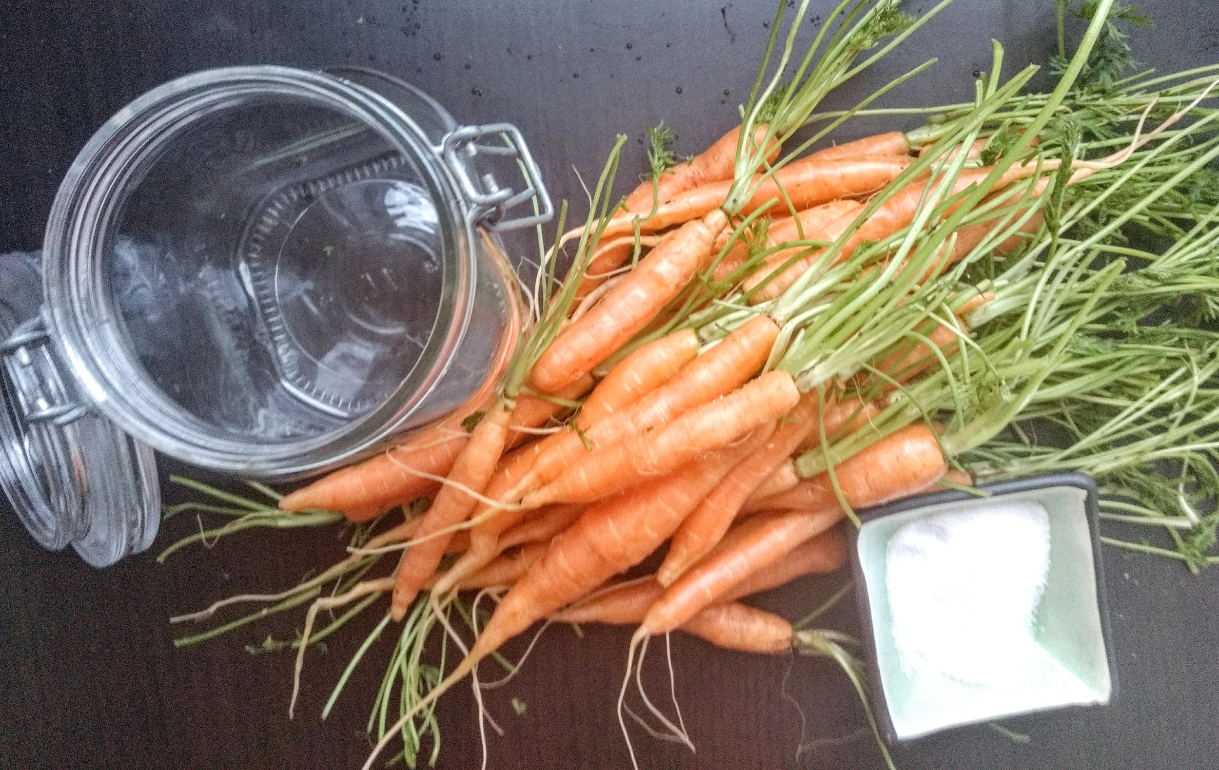 carrots.jpeg