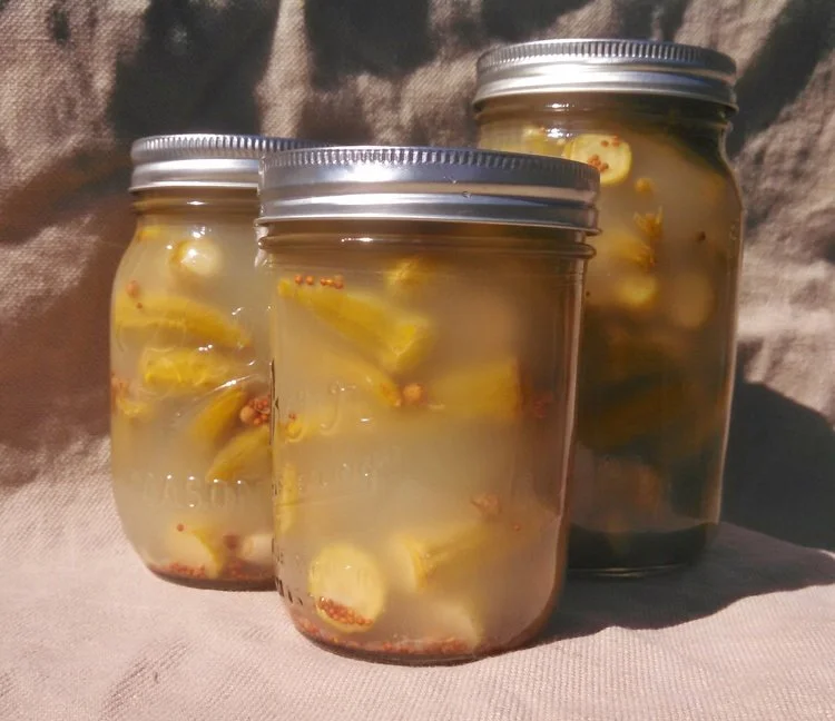 Fermented Okra and Garlic