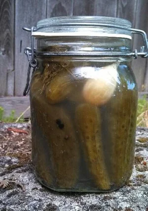 Real Dill Pickles