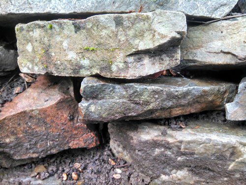 Minerals and Toxic Metals