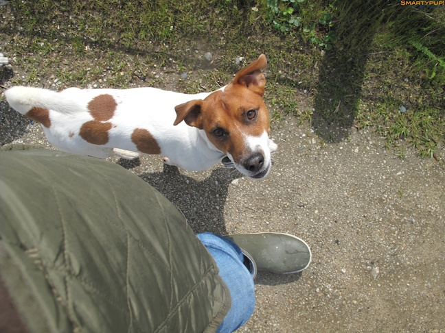 HEELING-image.png