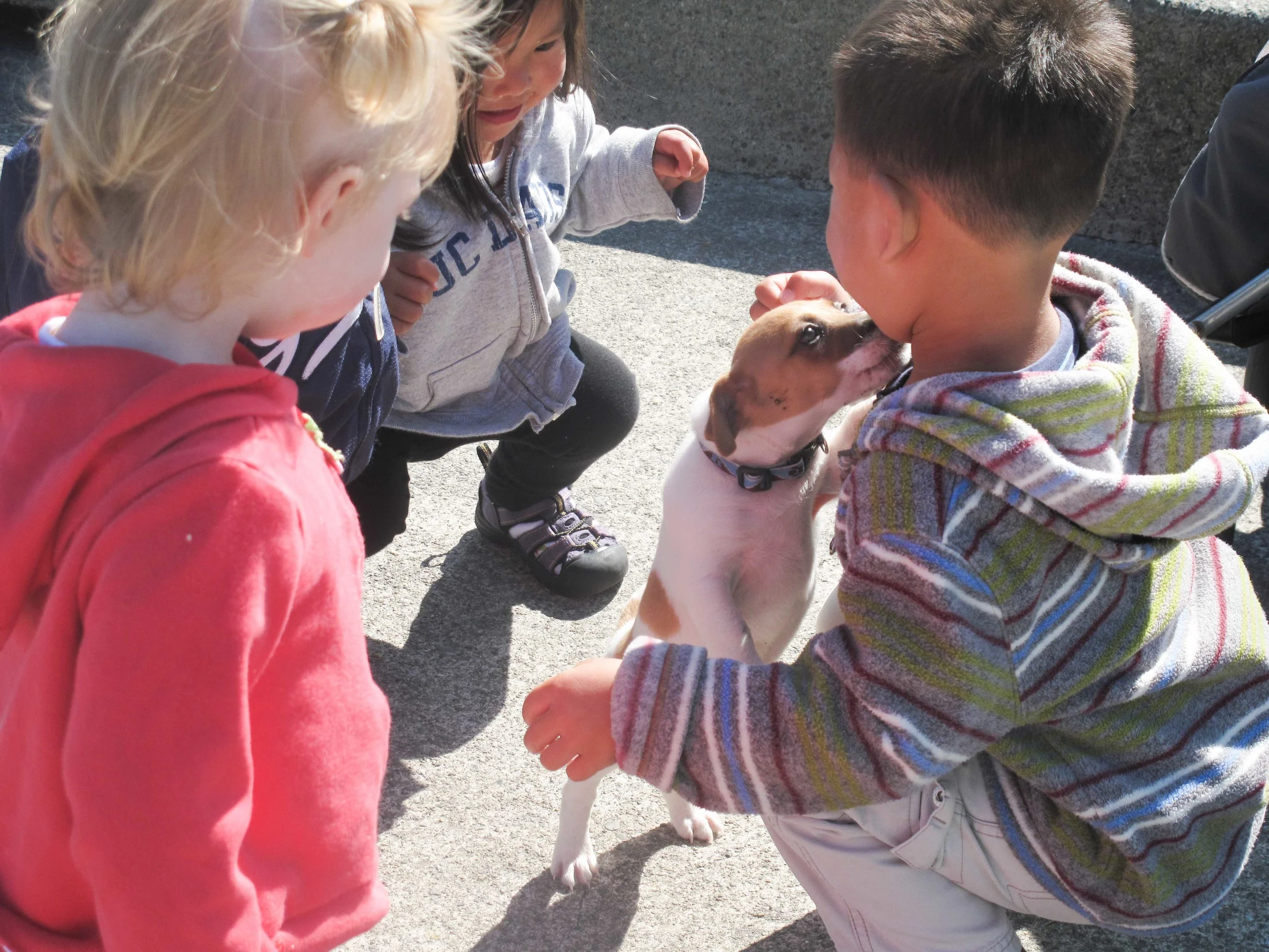 smarty-9-small-children-2.jpg