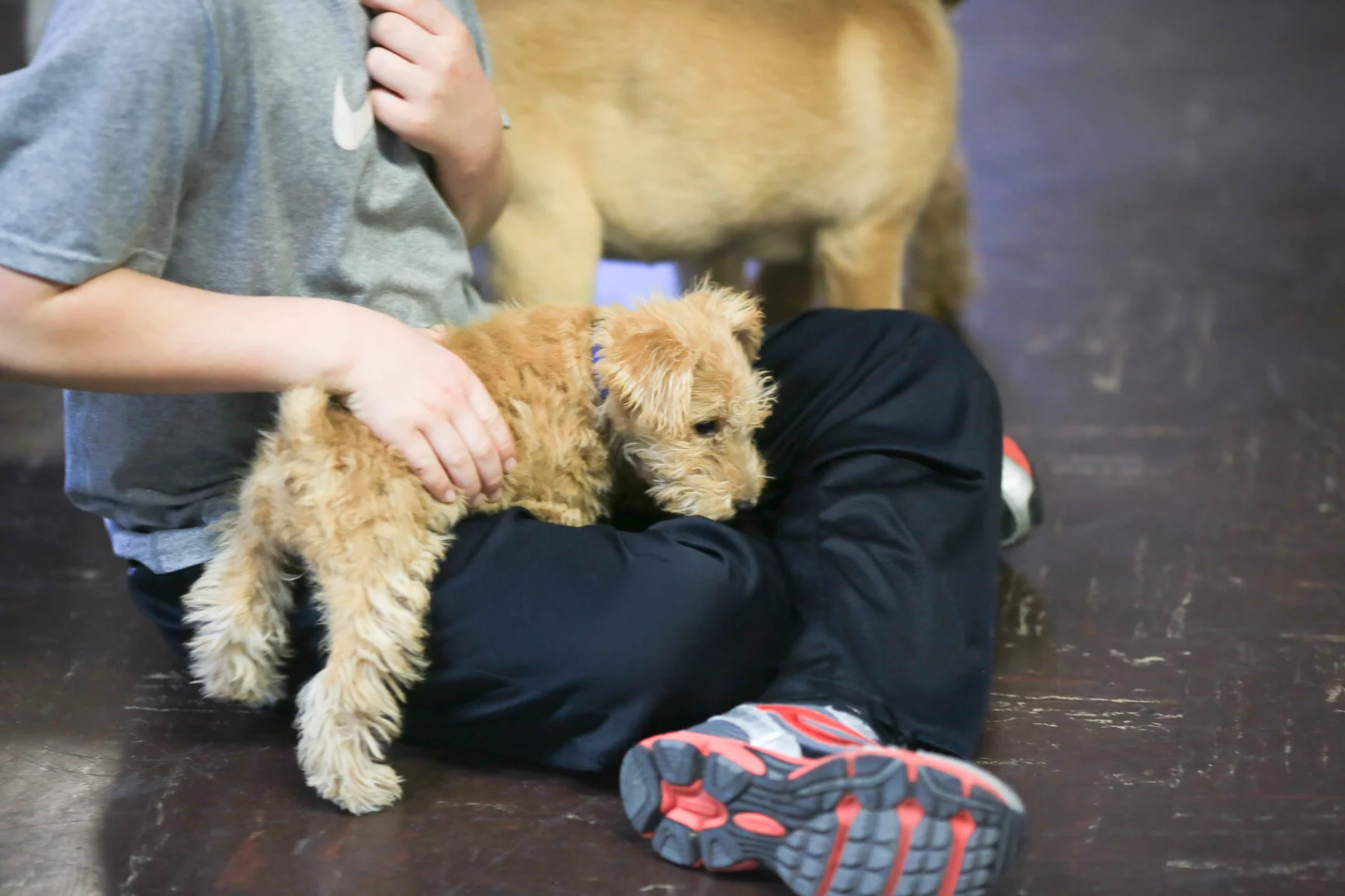 pup1-03-12-day-1-1384.jpg