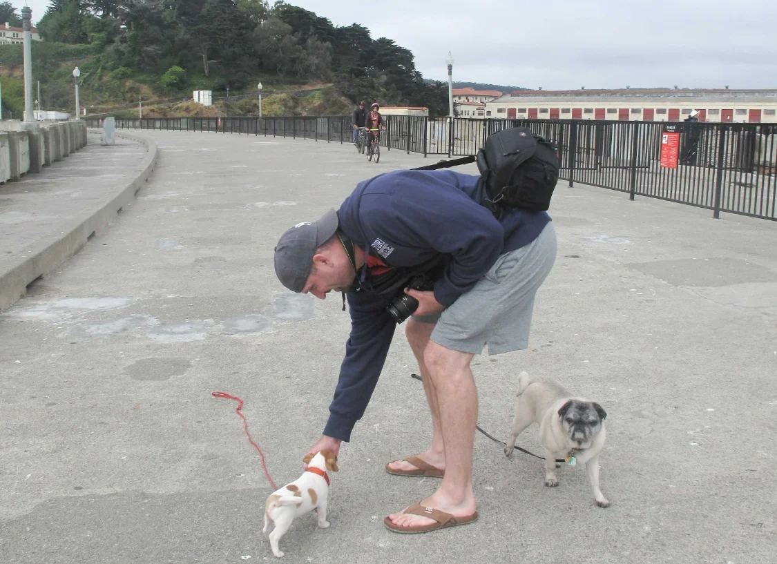 puppy-out-and-about-2.jpg
