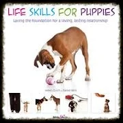 book-life-skills.jpeg