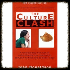 JEAN DONALDSON