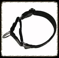 collar - martingale. The safest collar for puppies.