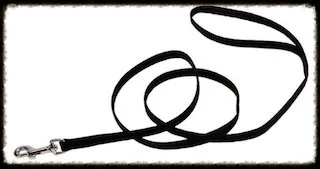 thing nylon leash - please read our support doc on Management