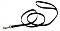 leash-for-class.jpg