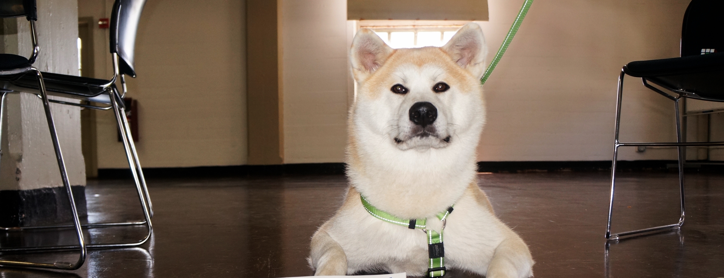 Mochi-271.jpg