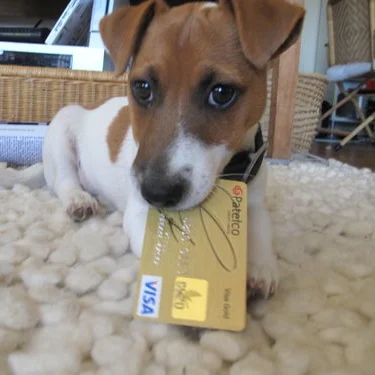 smartybabychewing.jpeg