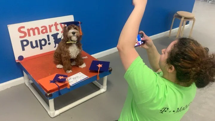 puppy socialization classes london