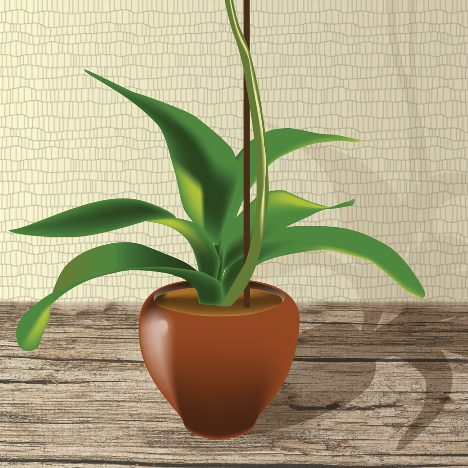 orchid_960_pot_web.png