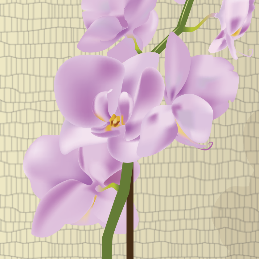 Orchid_close_flower_web.png