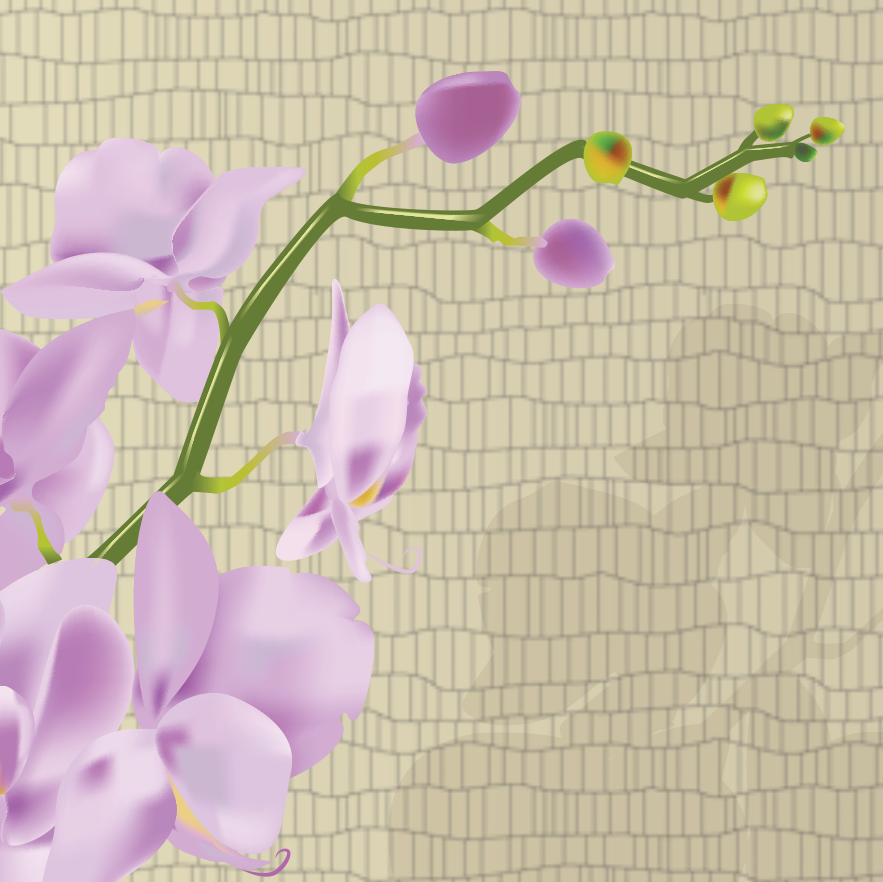 Orchid_buds_web.png