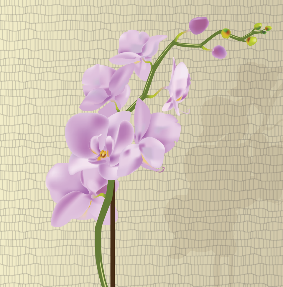 Orchid_closeup_960_web.png