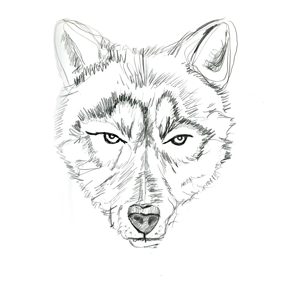 gemsea_wolf_sketch_9603.png