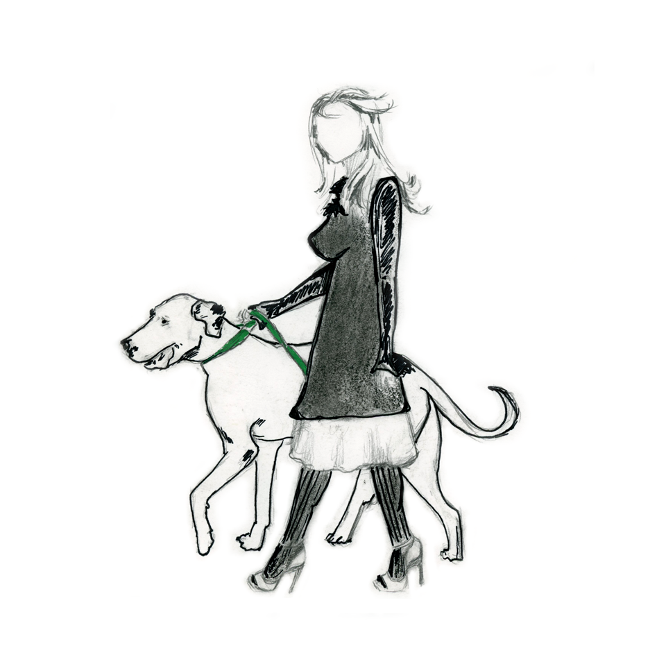 Fashion Walking Dog