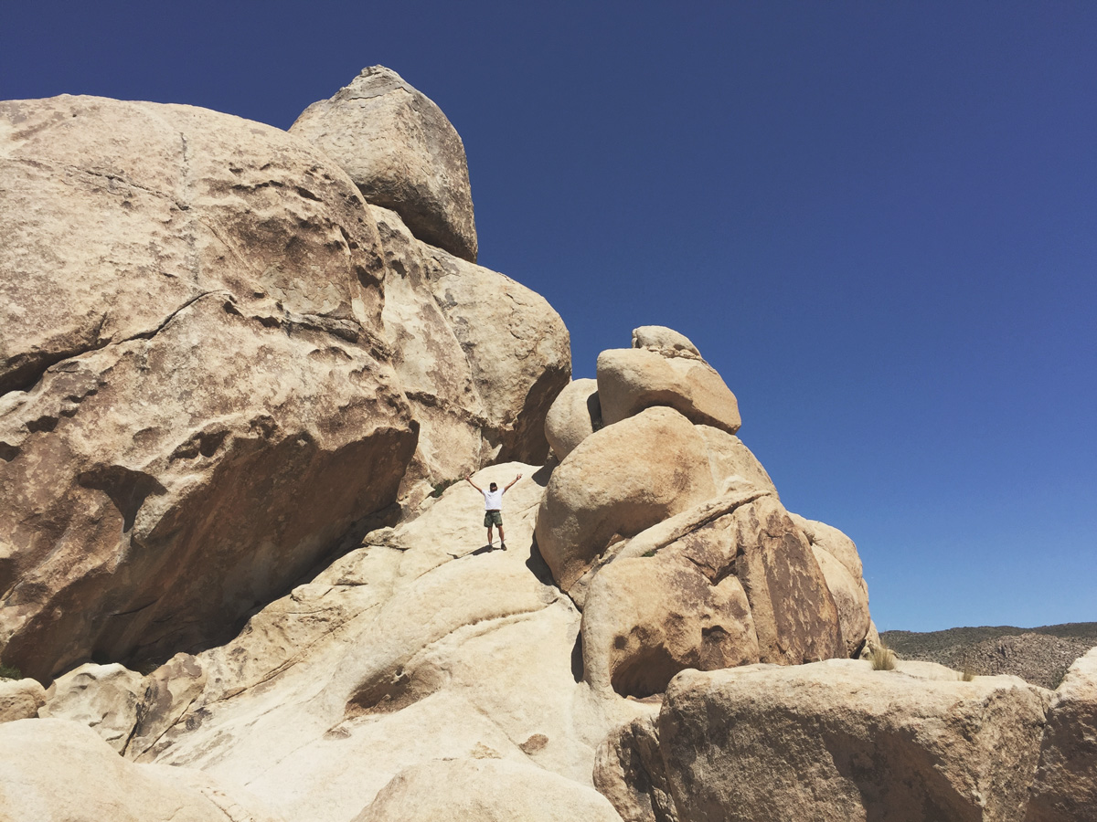 Benji on a big rock!