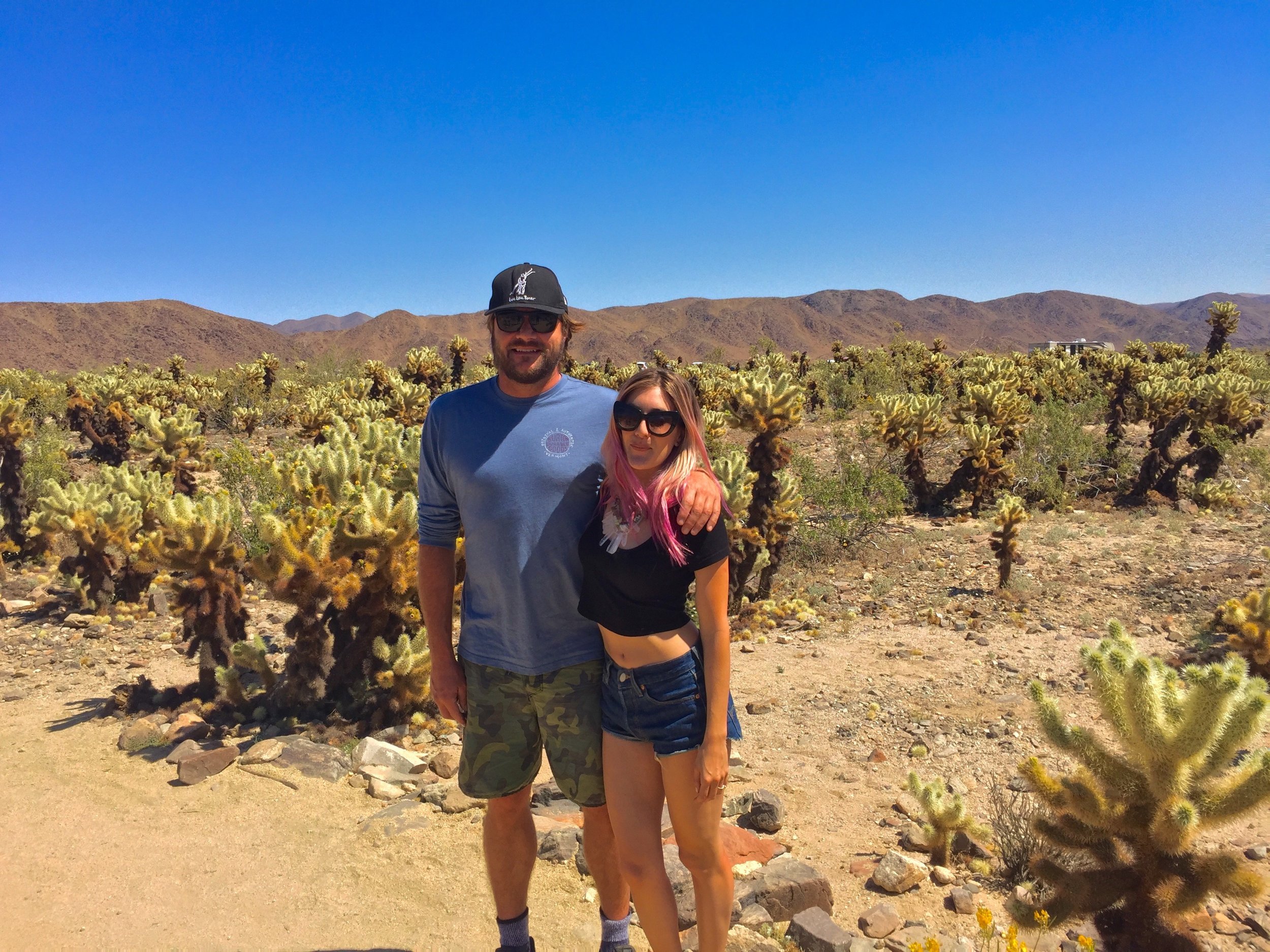Taking some time in Cholla Garden #superbloom.
