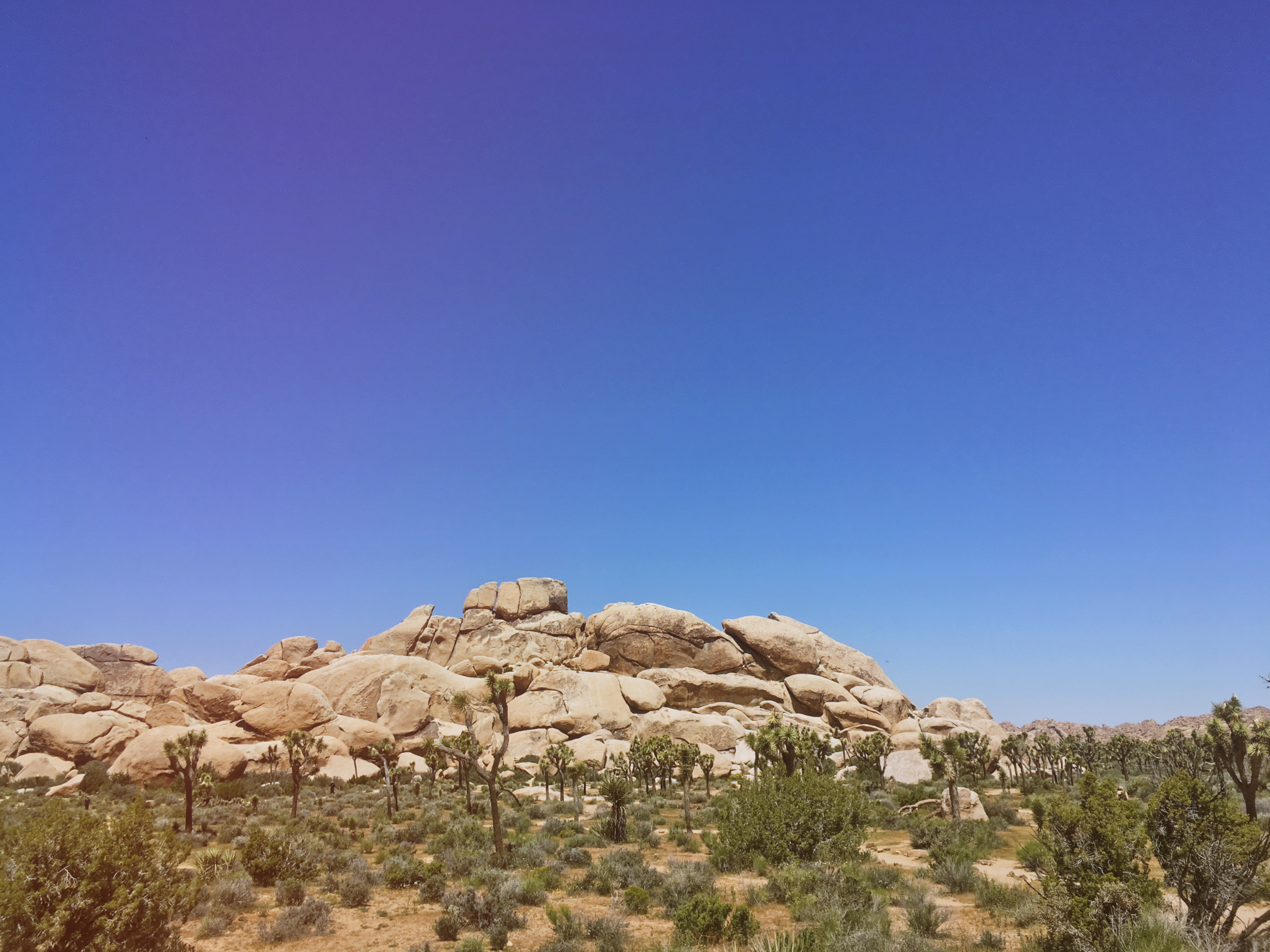 Trecking around in the desert.