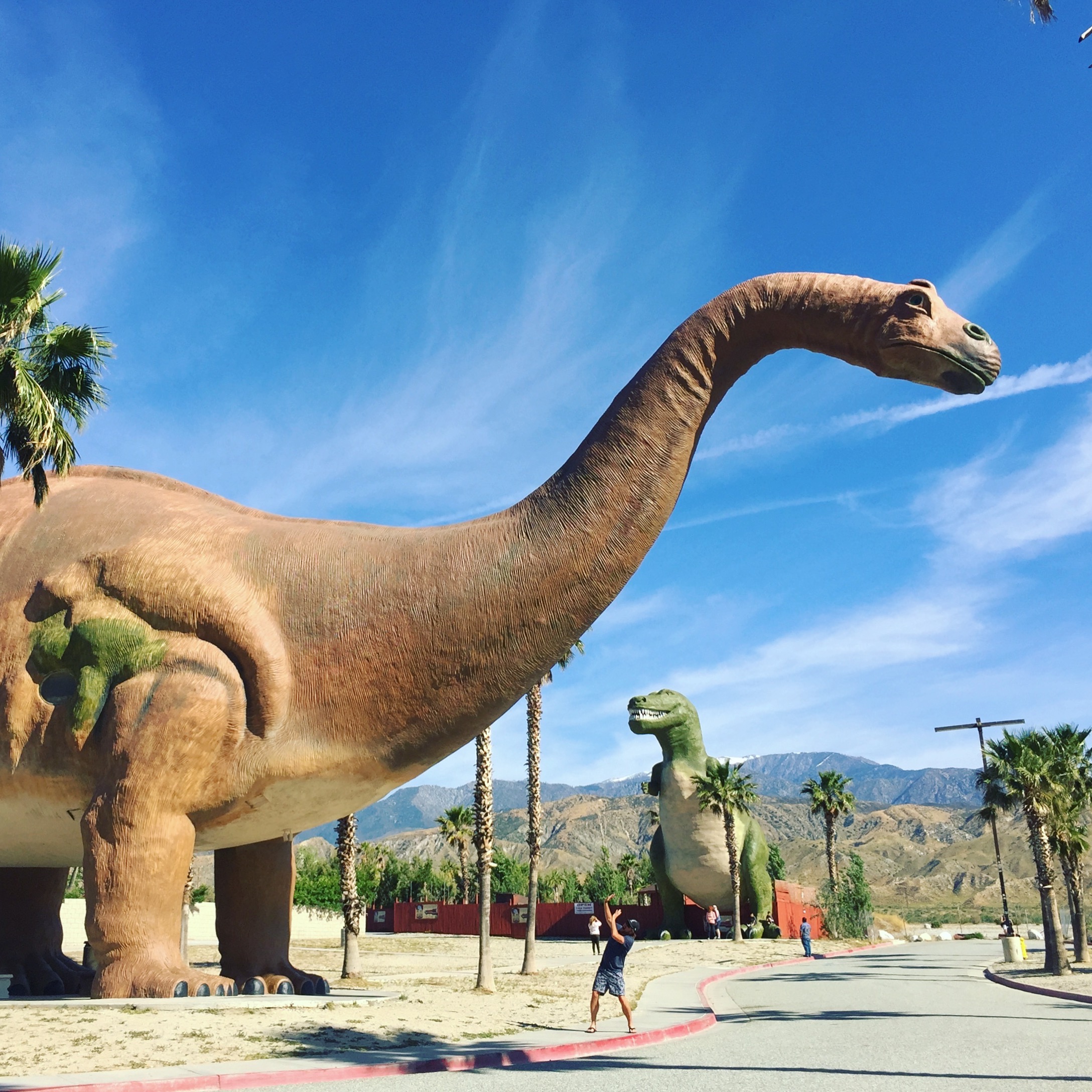 Finally got to relive one of my favorite childhood movies - Pee-Wee's Big Adevnture. This is a must if you are in Palm Desert.