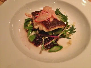 butterfish