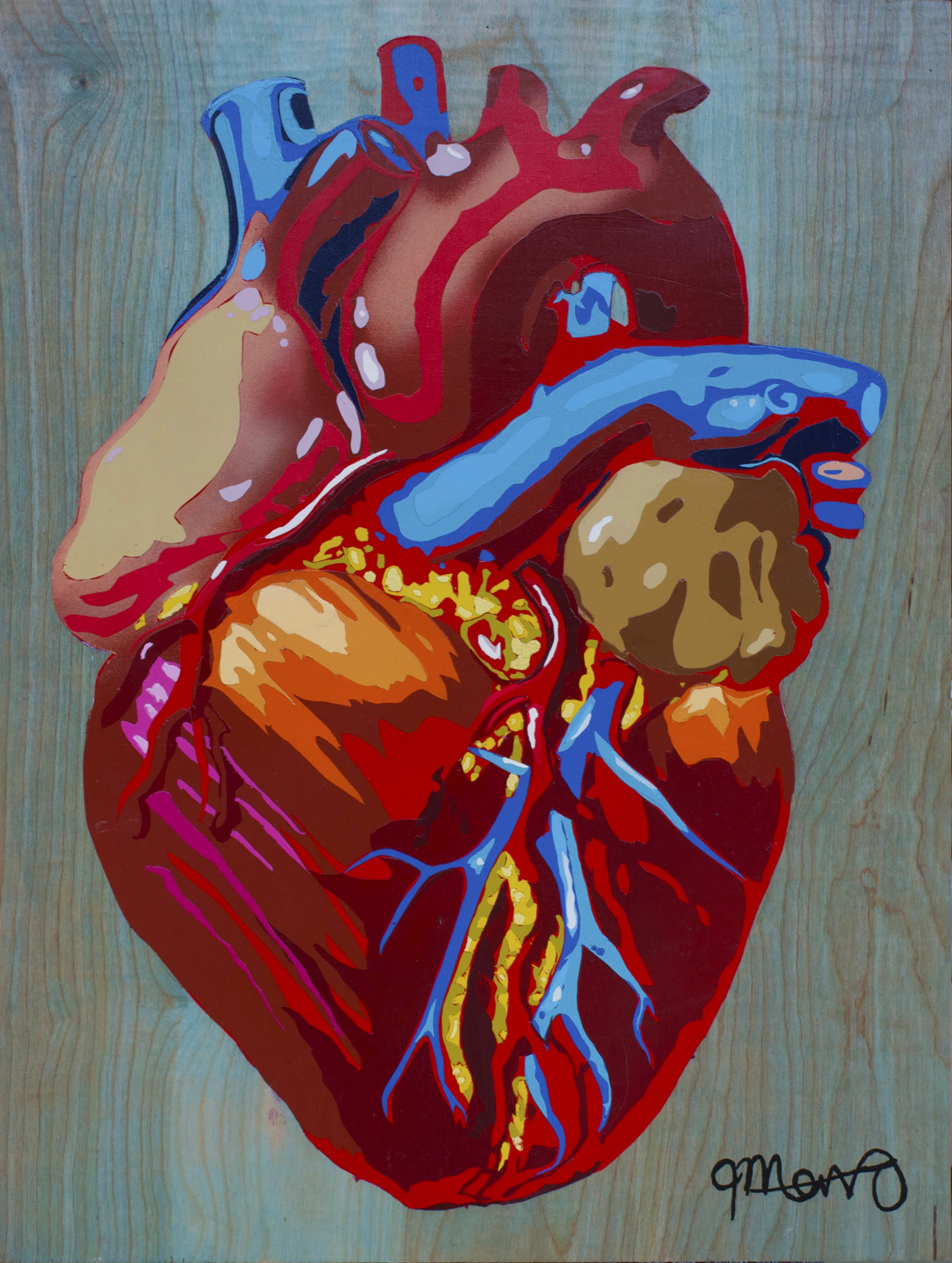 Anatomy II