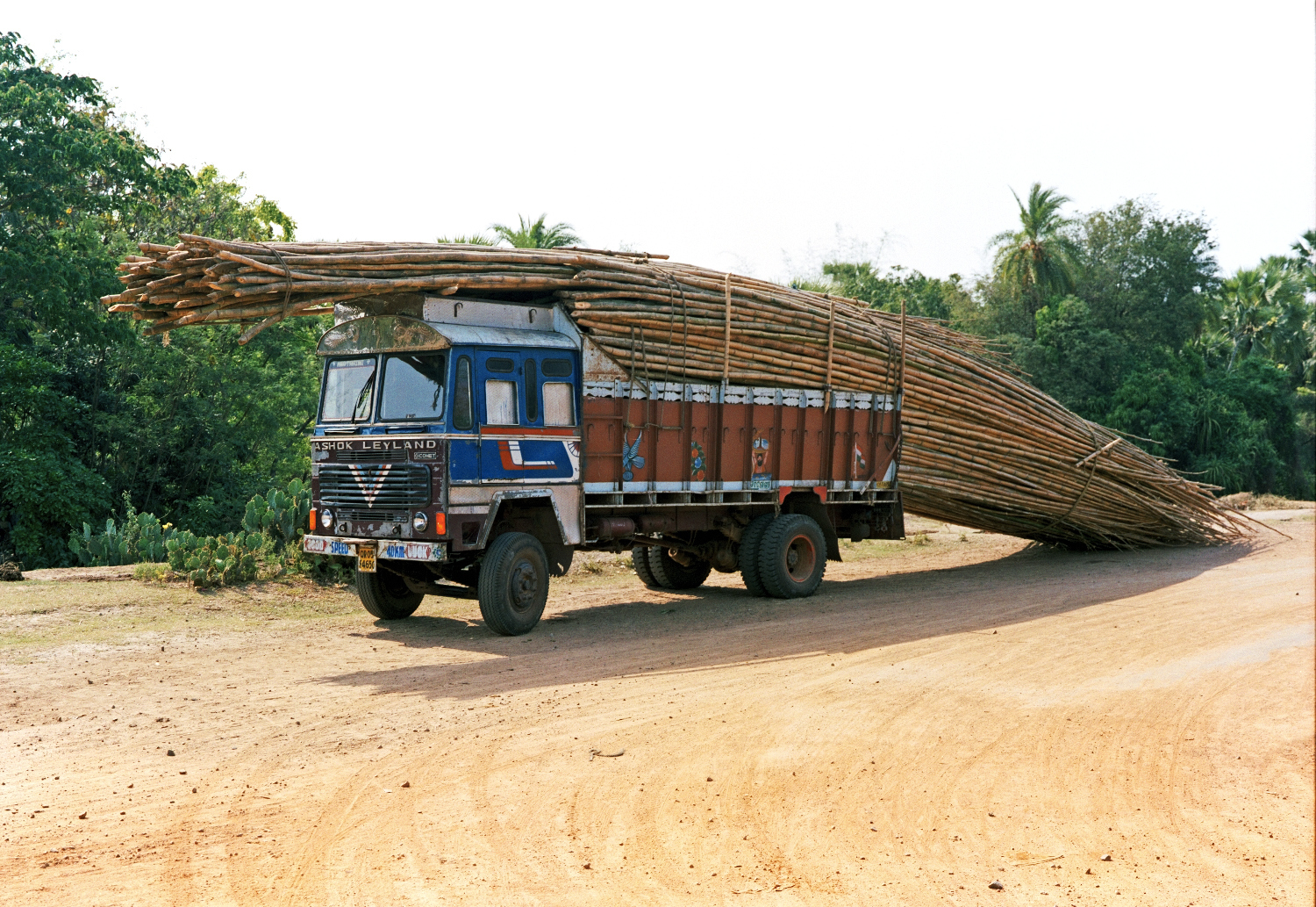 Tata w-bamboo_1.jpg