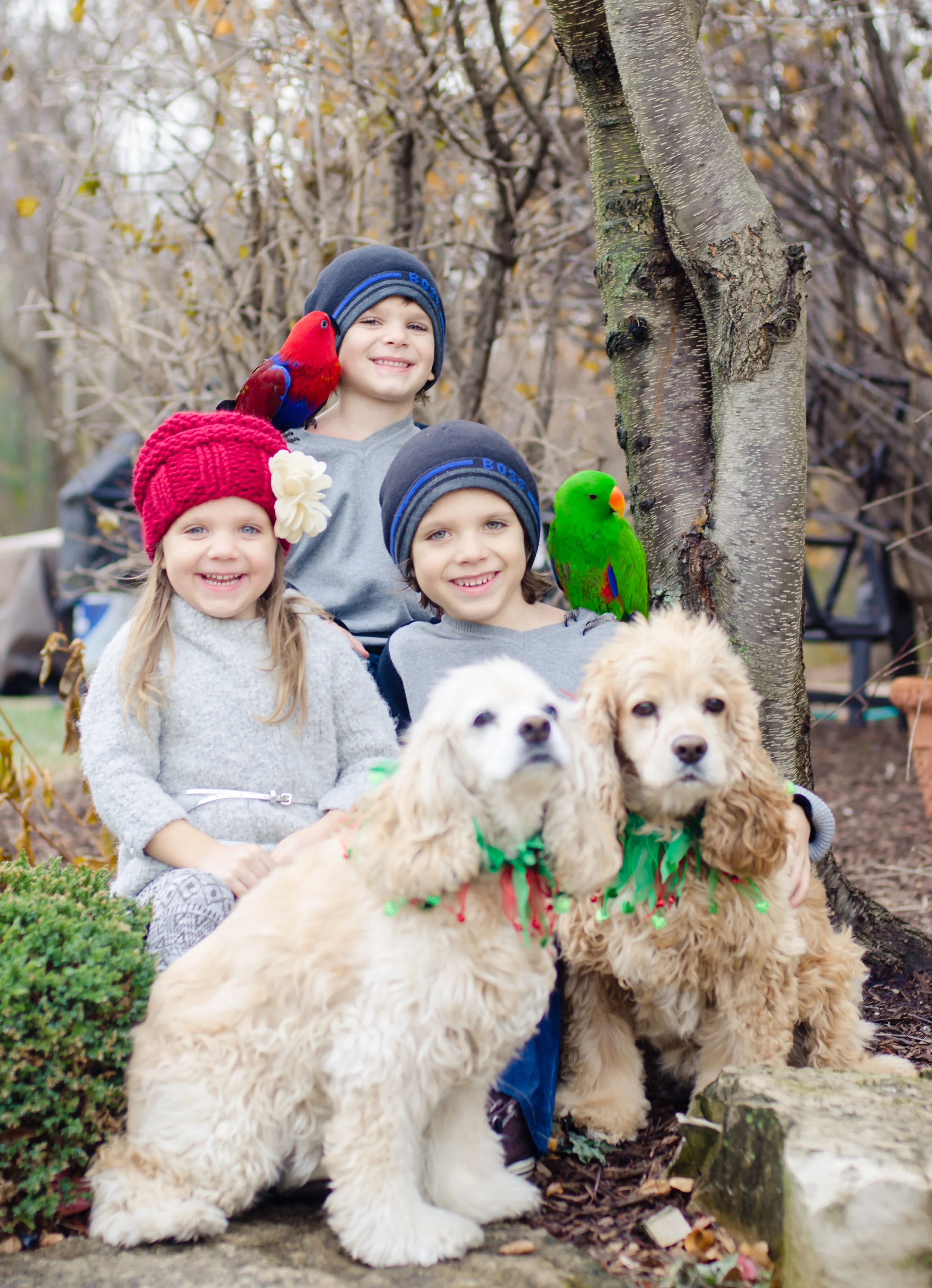 2 dogs, 2 birds and 3 awesome kids, yeah bring it on!! This was a fun shoot. Great family and such cool laid back parents.