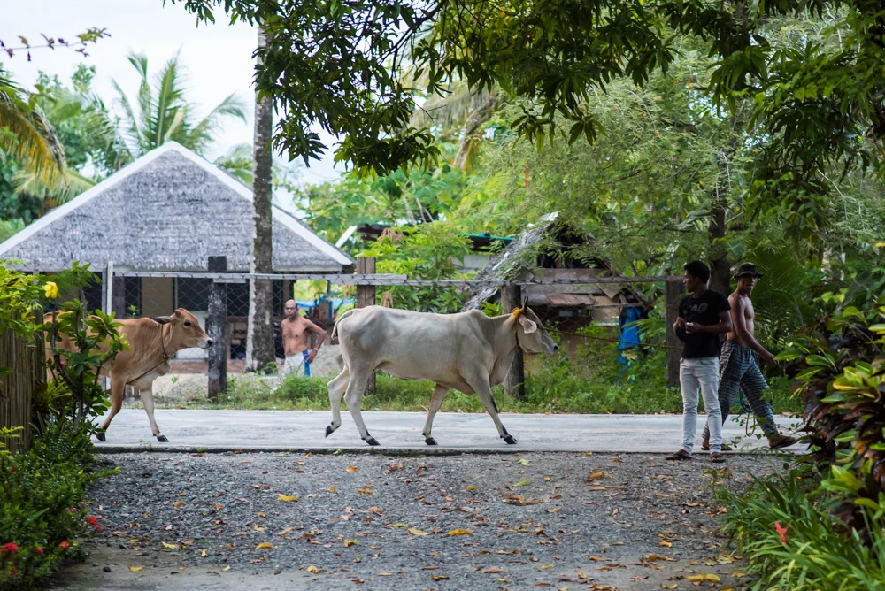 Local traffic