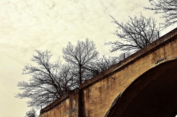 Tree Garden II / Louis Staeble
